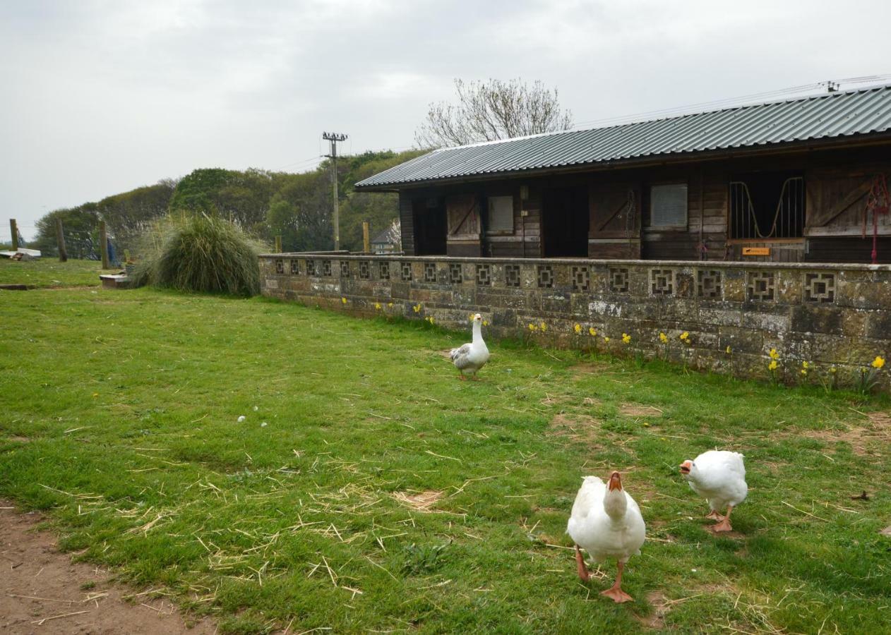 Queen Bower Farm Lodge Alverstone  Exterior photo