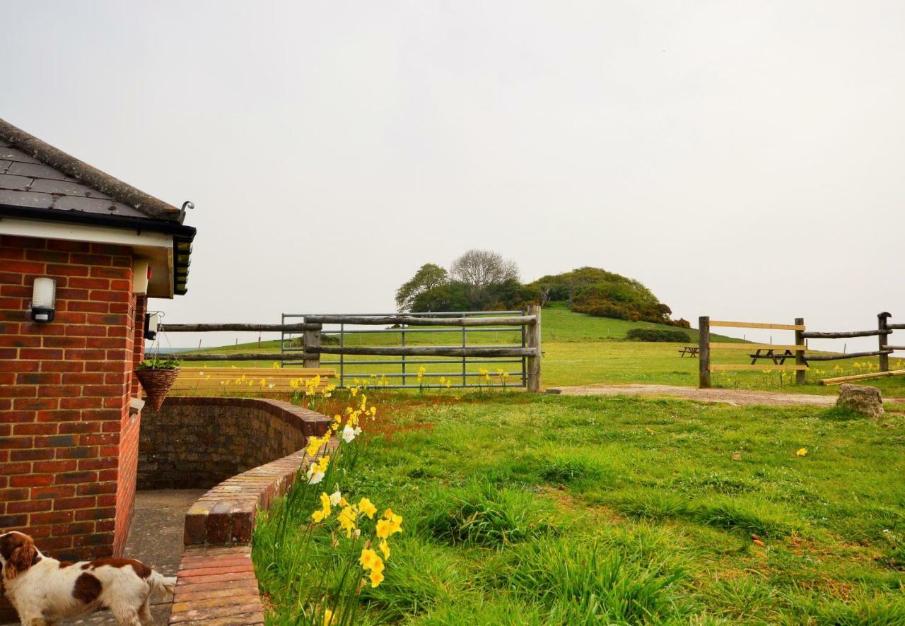 Queen Bower Farm Lodge Alverstone  Exterior photo