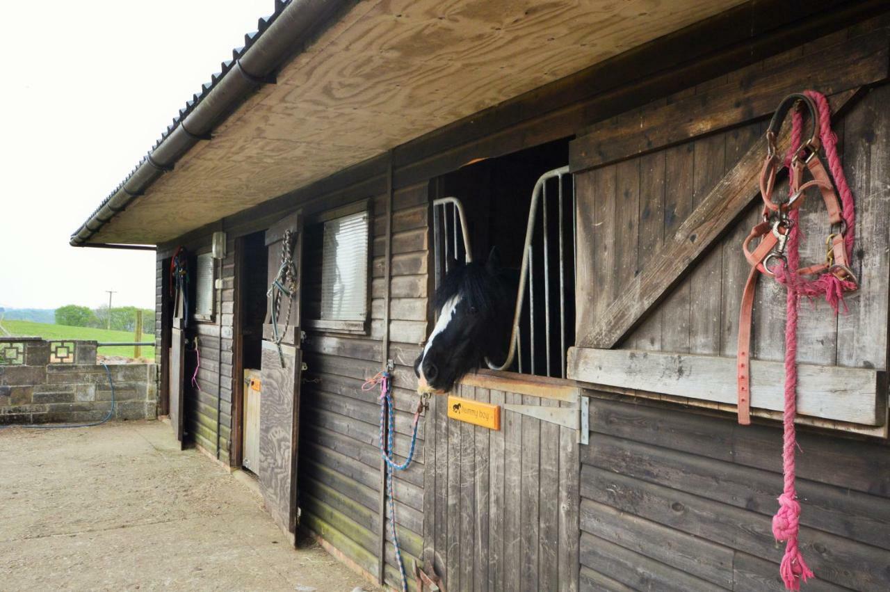 Queen Bower Farm Lodge Alverstone  Exterior photo